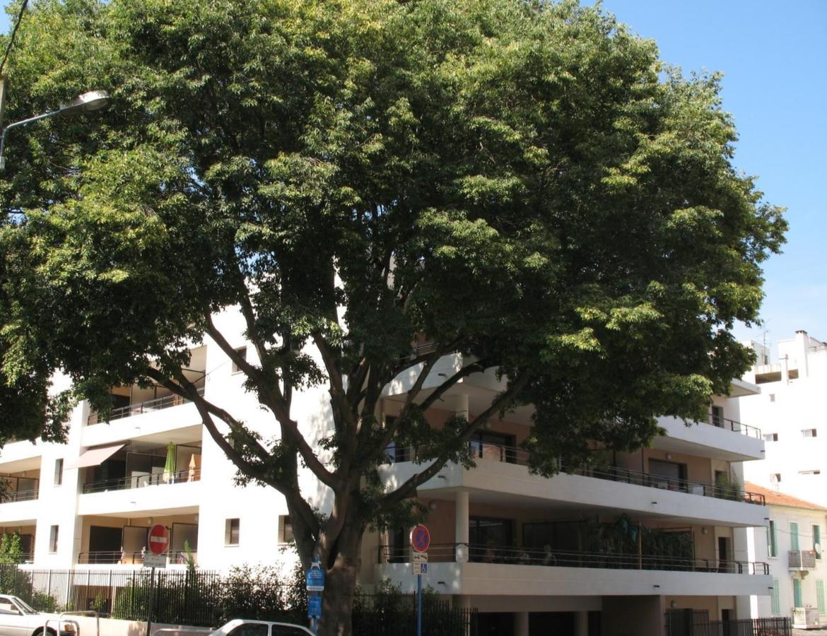 קאן Spacious Luxury Apt, 12 Min Walk To Croisette Beach And Conf Centre מראה חיצוני תמונה